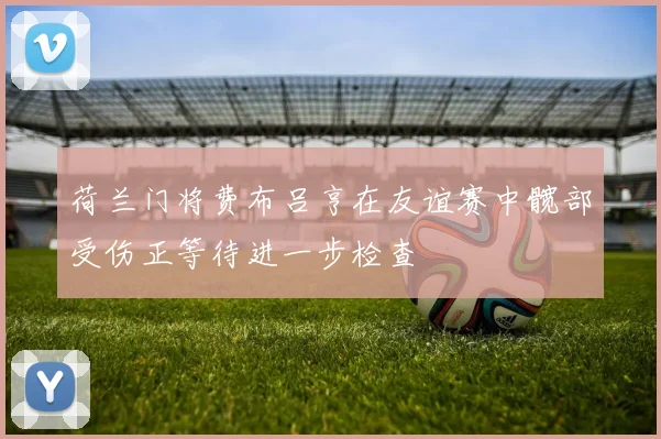 荷兰门将费布吕亨在友谊赛中髋部受伤正等待进一步检查